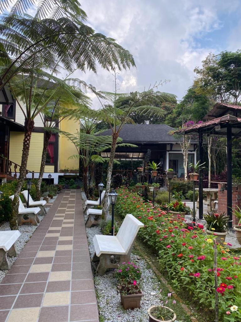 Cahaya Villa Tanah Rata Exterior foto