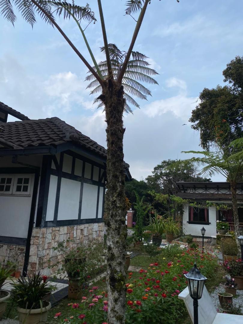 Cahaya Villa Tanah Rata Exterior foto